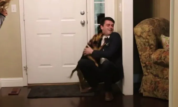 perro