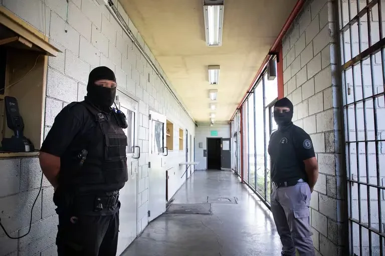 WhatsApp Image 2024-07-25 at 9.22.48 AM