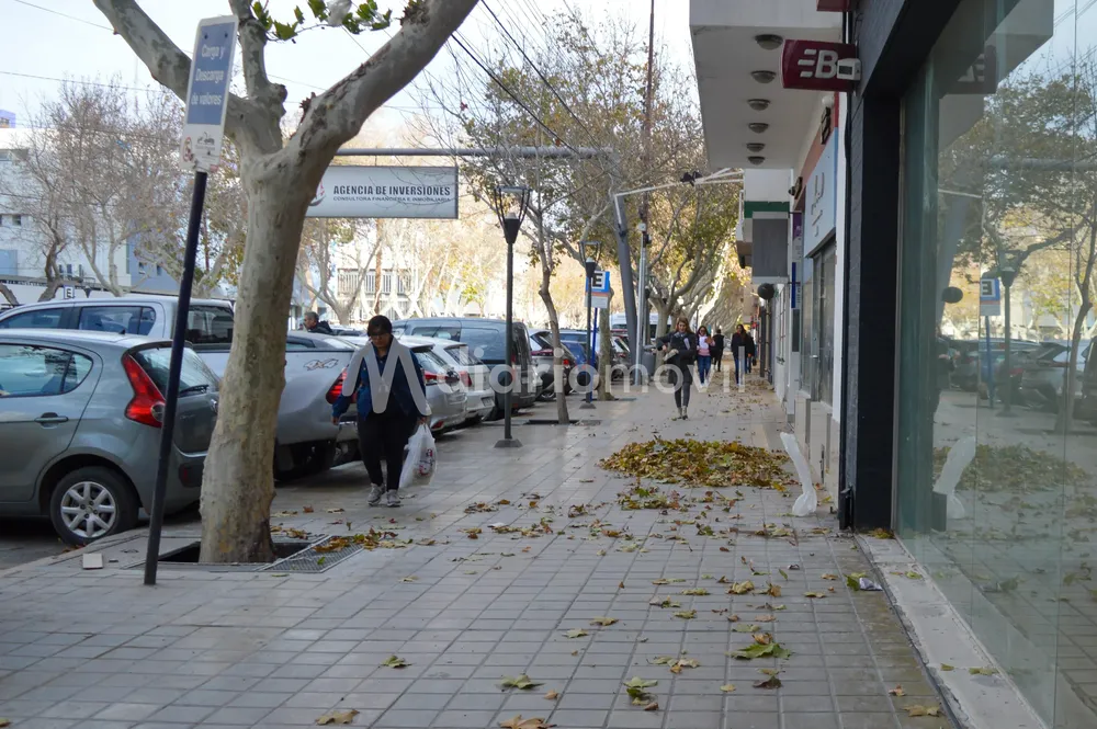 Viento Zonda