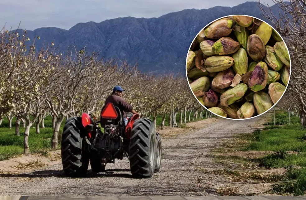 multimedia.normal.ac19e791627f24e6.bm9ybWFsLndlYnA=