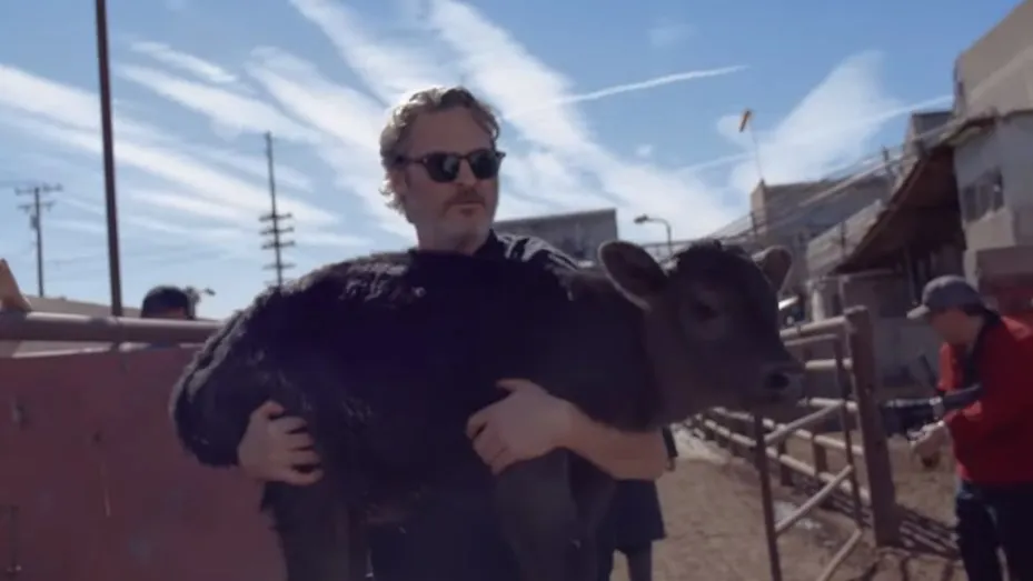 phoenix-vaca-rescate