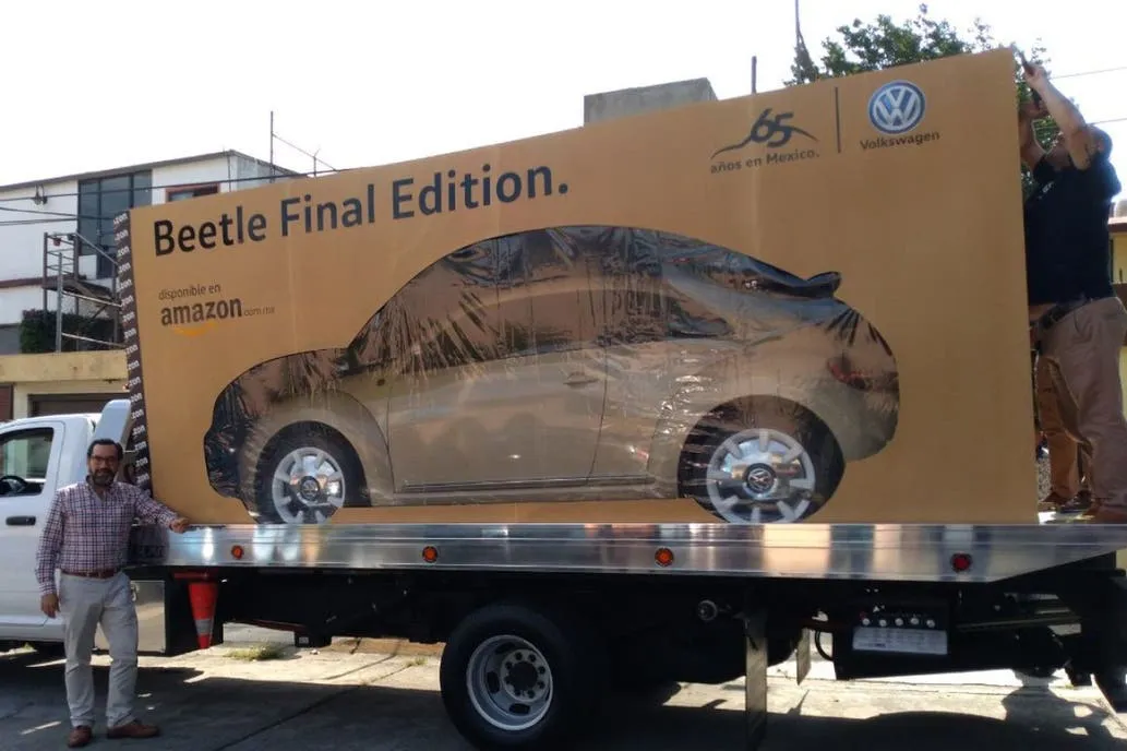 amazon-beetle