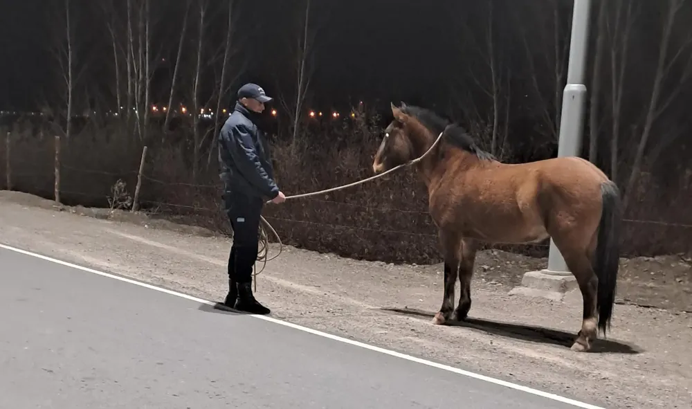 multimedia.normal.af16b431a5bd96eb.VW5rbm93bl9ub3JtYWwud2VicA%3D%3D