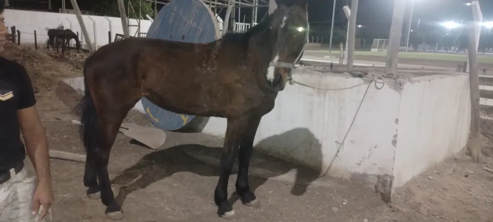 WhatsApp Image 2024-09-18 at 10.17.08