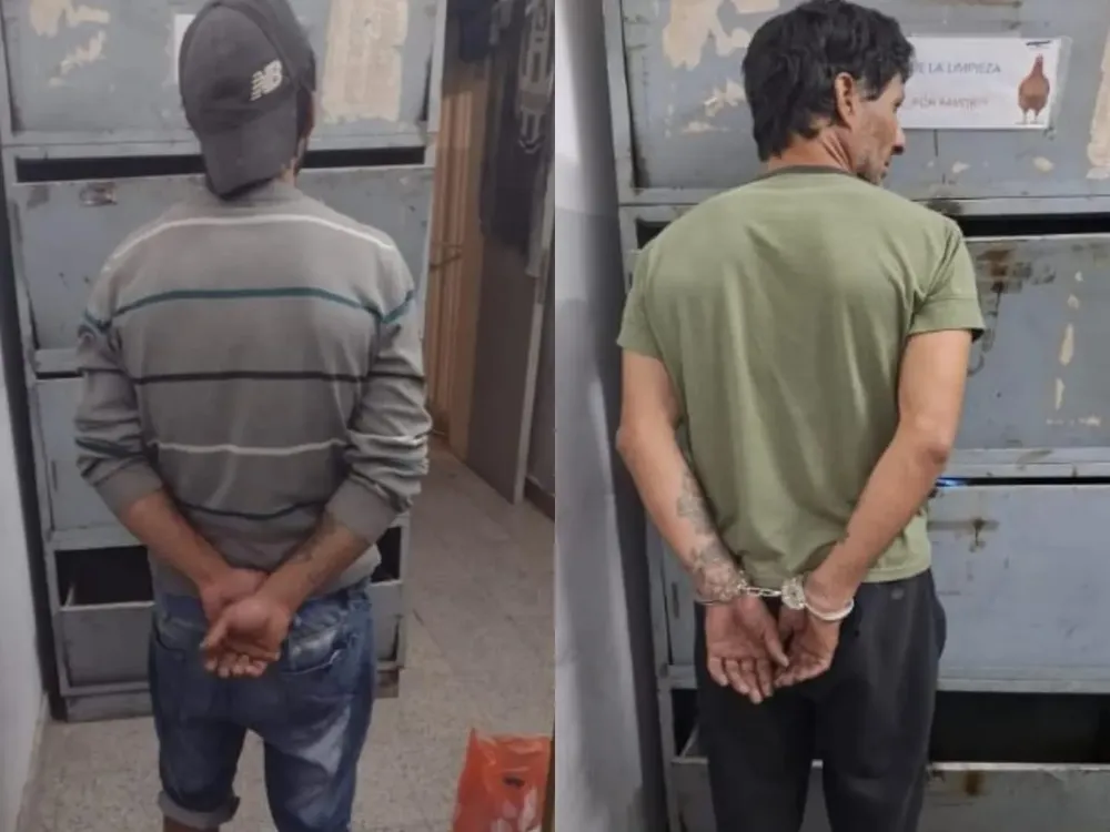 WhatsApp Image 2025-10-17 at 11.54.11