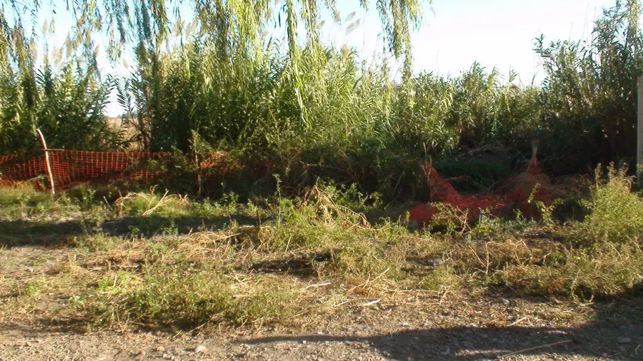 Zanja Escuela Berutti