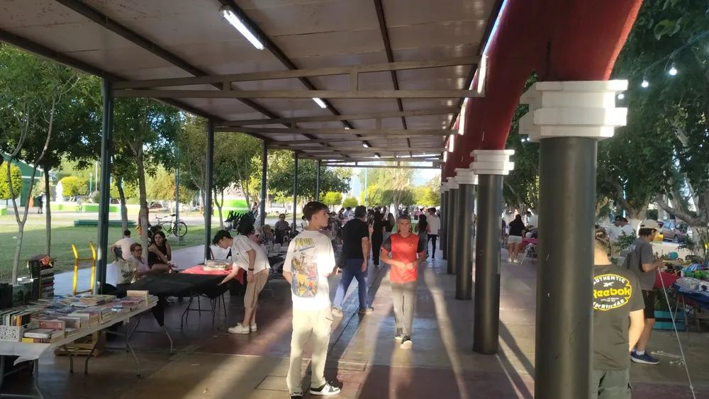 IMG_20260213_194618512