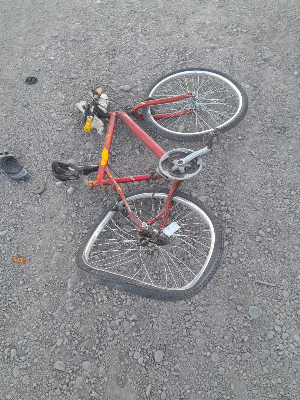 WhatsApp Image 2024-12-22 at 10.55.00