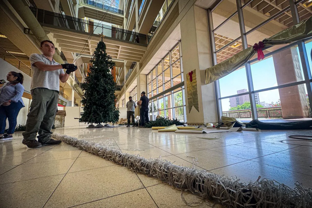 WhatsApp Image 2025-12-05 at 11.41.57