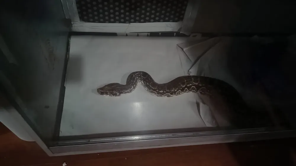 WhatsApp Image 2026-03-06 at 12.22.59