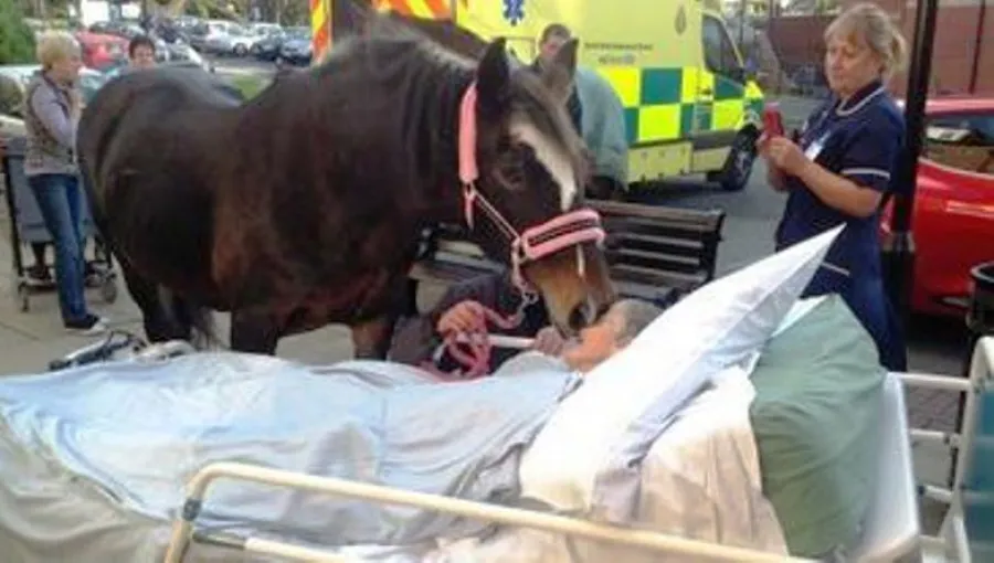 f2e391971507dca75ef45bfd45c36064_XL