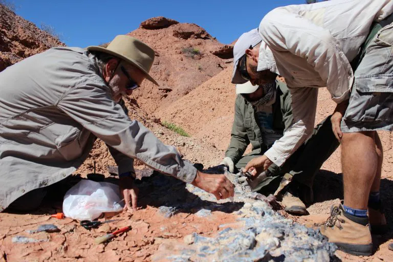 fe508582-9218-4494-ba58-efa60c67d8e0