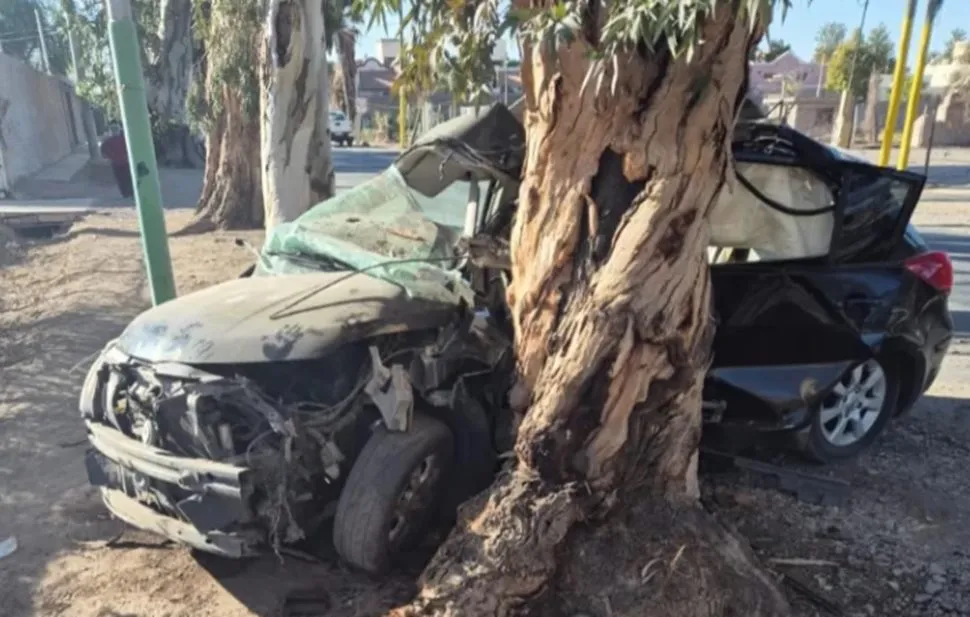 Accidente muerto