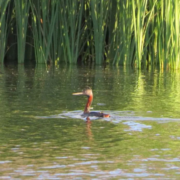 WhatsApp Image 2023-09-08 at 12.36.39 PM