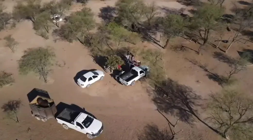 Policía caballos drone