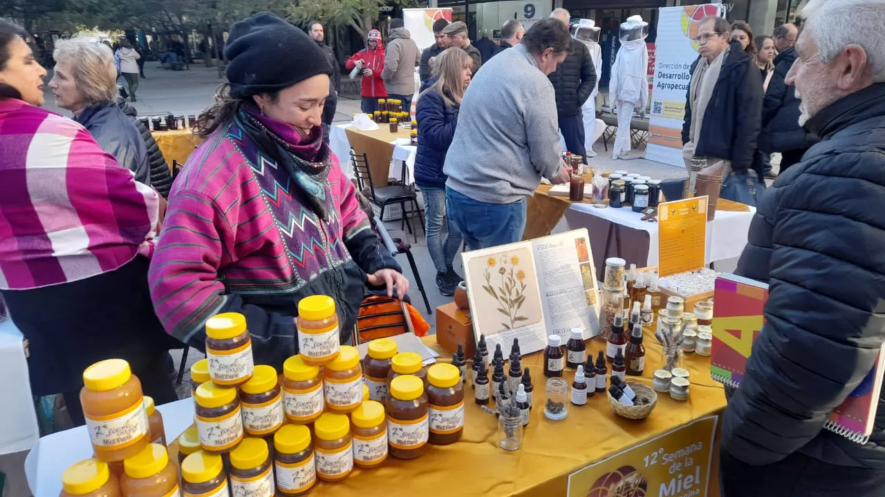 WhatsApp Image 2024-07-02 at 09.50.01 (1)