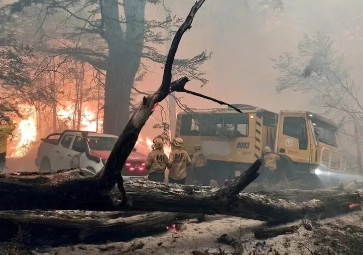 WhatsApp Image 2024-01-30 at 1.36.40 PM