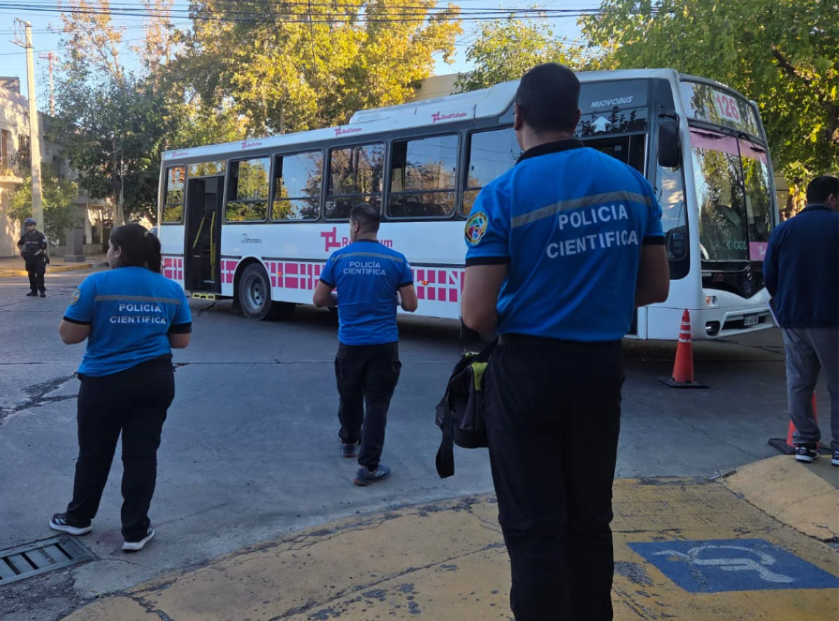 WhatsApp Image 2026-04-07 at 20.44.53