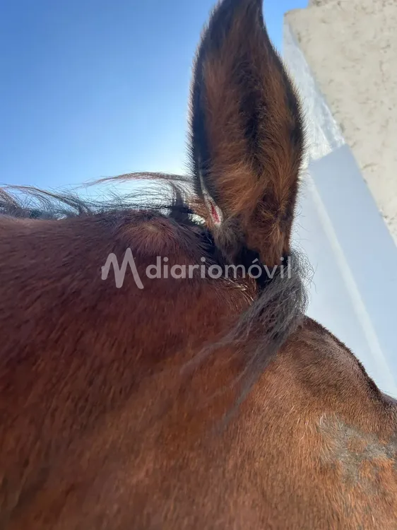 WhatsApp Image 2024-06-21 at 11.03.42 PM