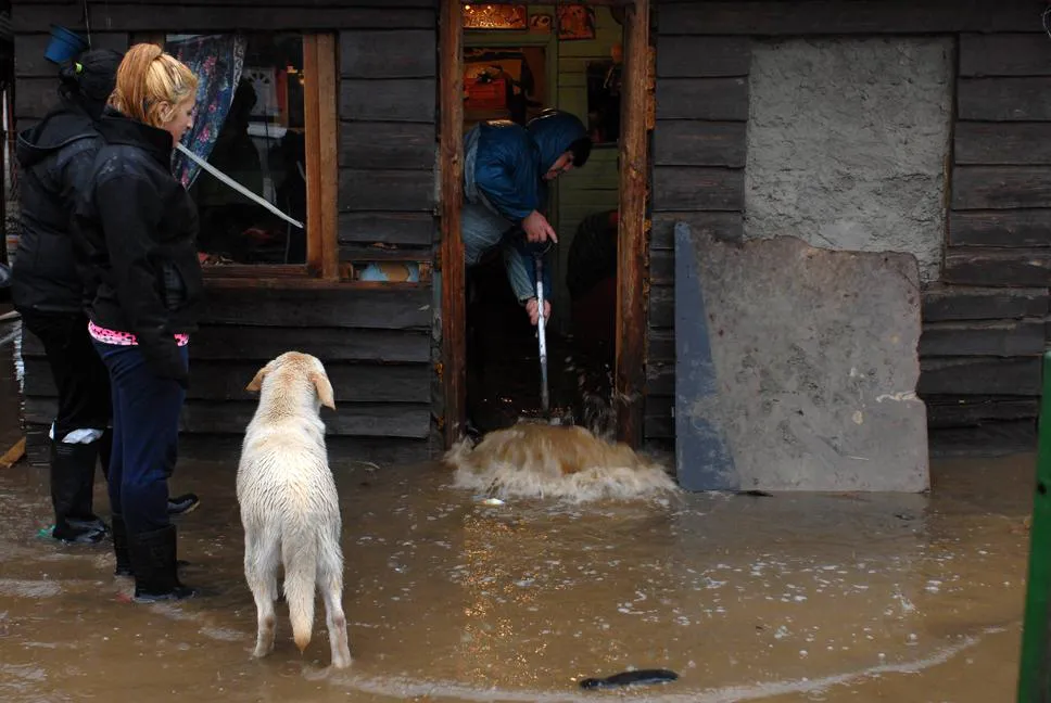 bchelluvia3.jpg