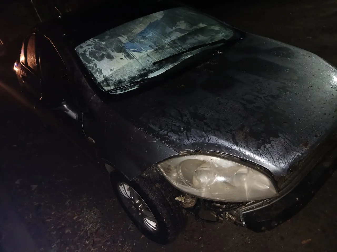 WhatsApp Image 2025-02-27 at 10.57.58