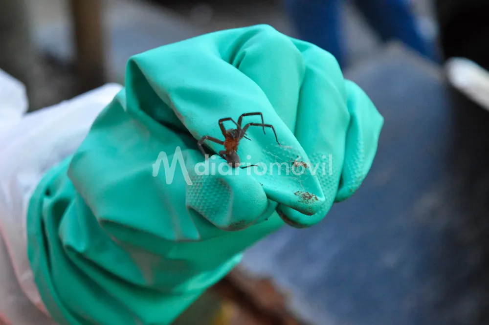 WhatsApp Image 2024-05-07 at 10.27.57 AM (3)