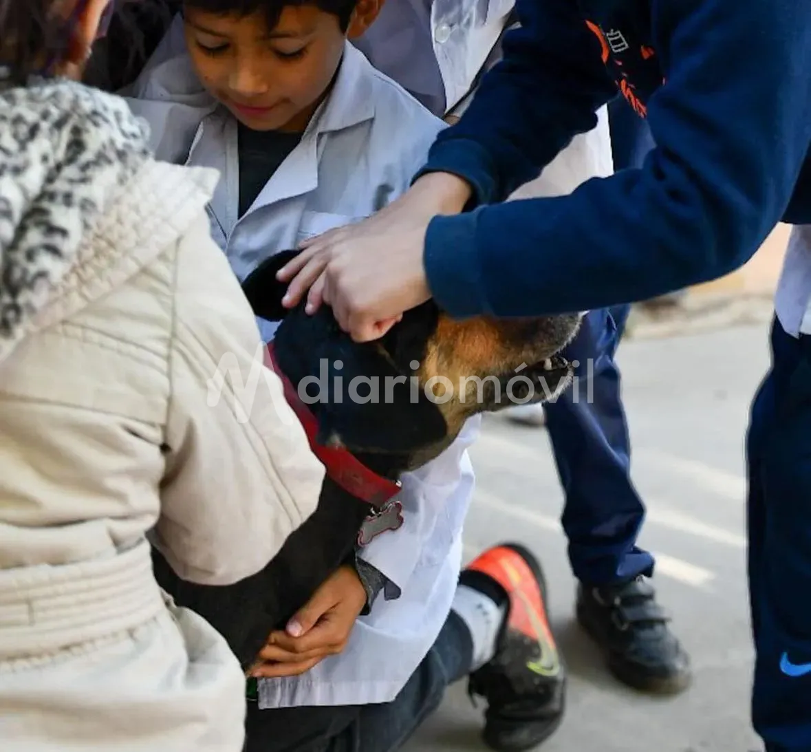 af8ecd8a-0f11-48e4-8bbb-5f9cef3b9006