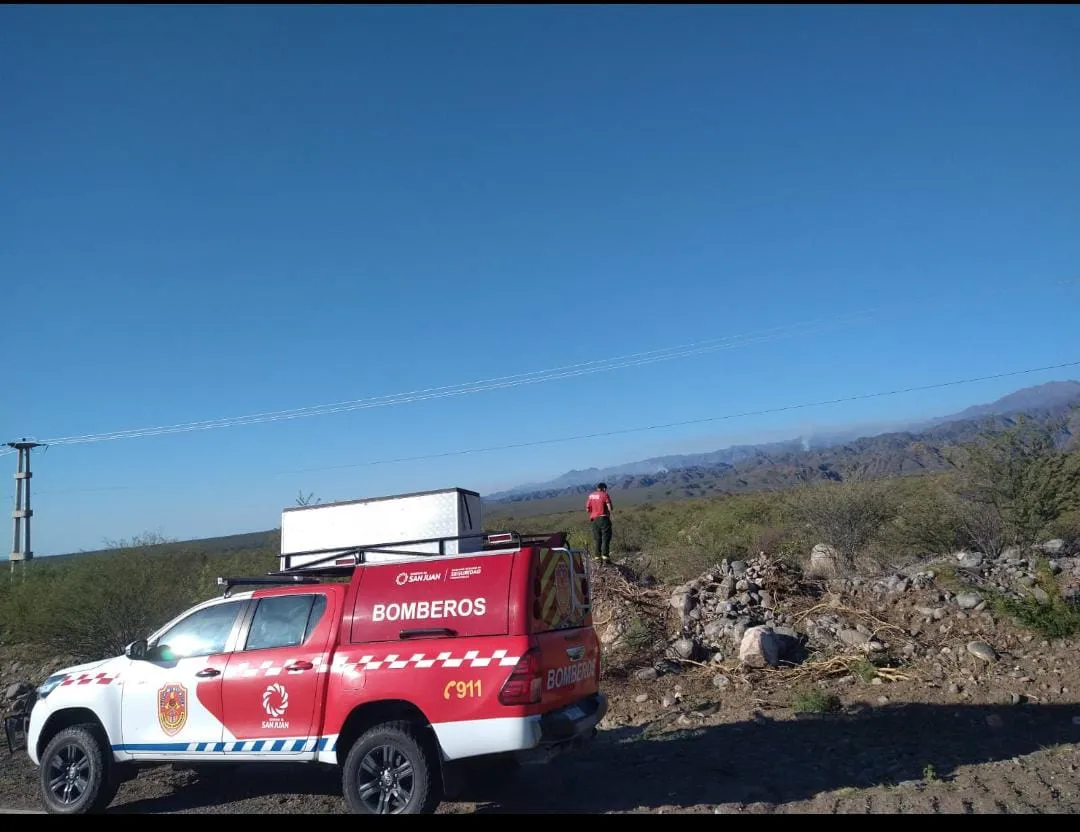 WhatsApp Image 2025-01-03 at 10.26.11