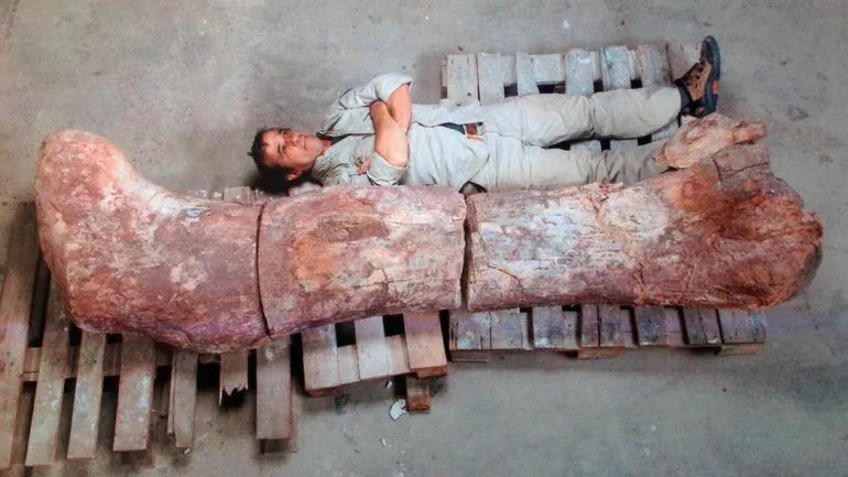 Fémur gigante