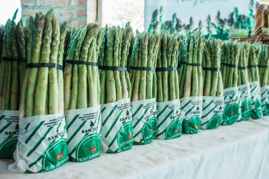 Fiesta del Espárrago 