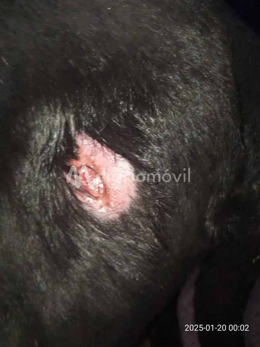 WhatsApp Image 2025-02-03 at 20.01.20 (1)