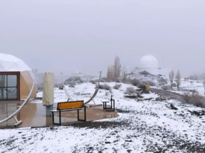 nieve leoncito3