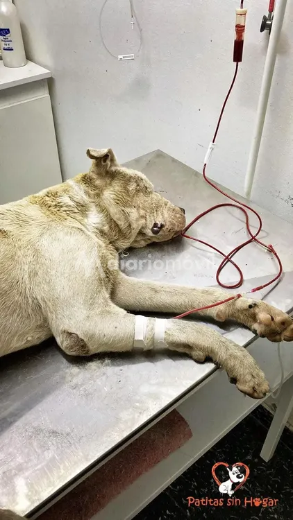 WhatsApp Image 2024-03-21 at 10.18.19 AM