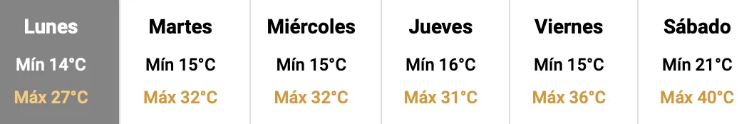 Captura de pantalla 2024-11-17 a la(s) 7.14.05 p. m.