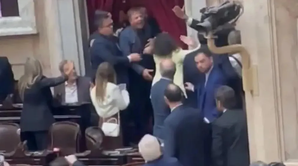 Diputados Zago Almirón