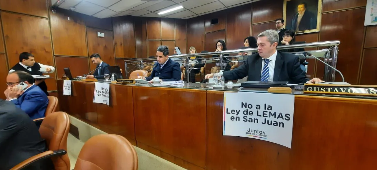Ley de Lemas-Usin