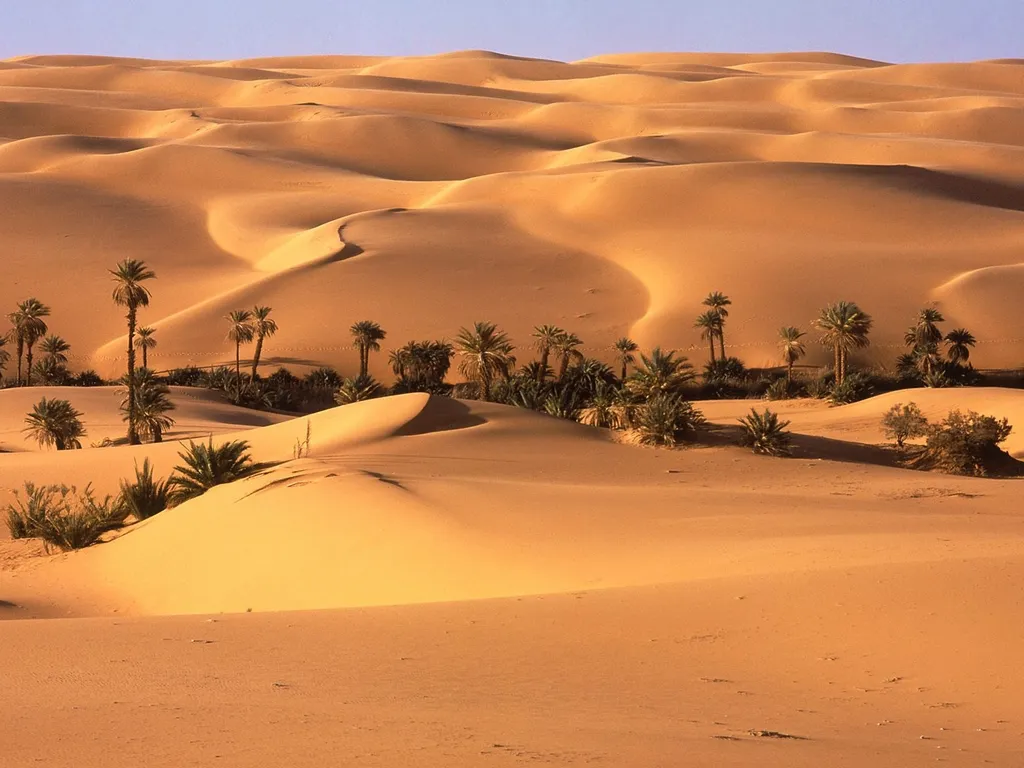 sahara