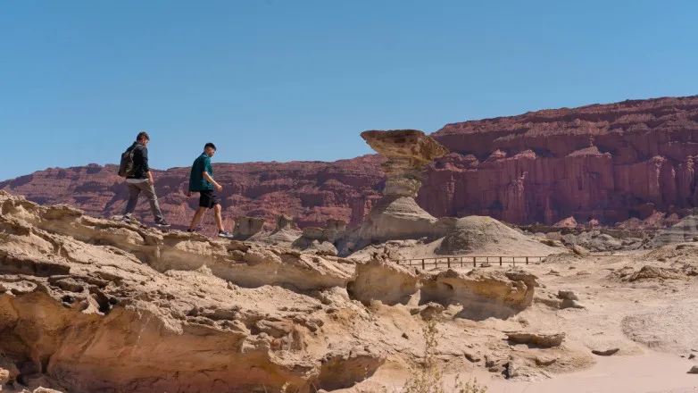 b8b39d3c6e9ee7e1f4701d429ec6e605_L