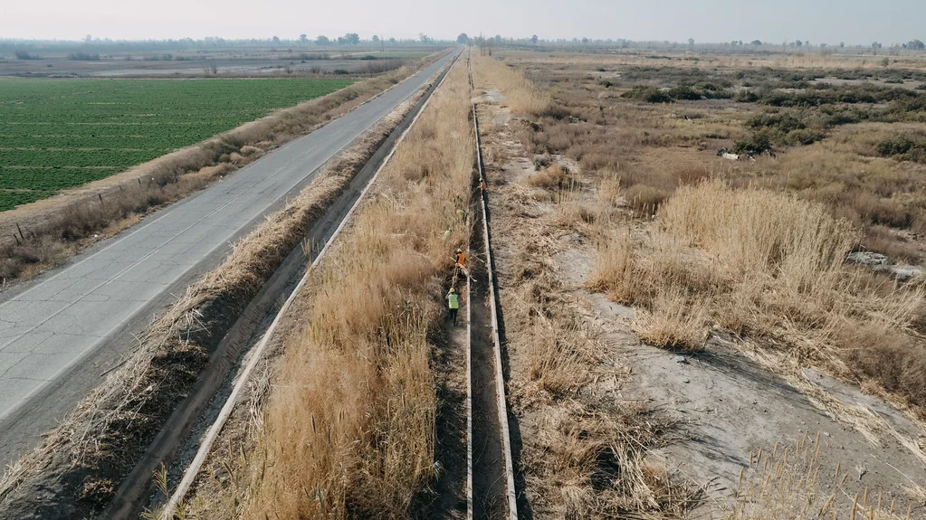 52278772431_9d440ae539_b