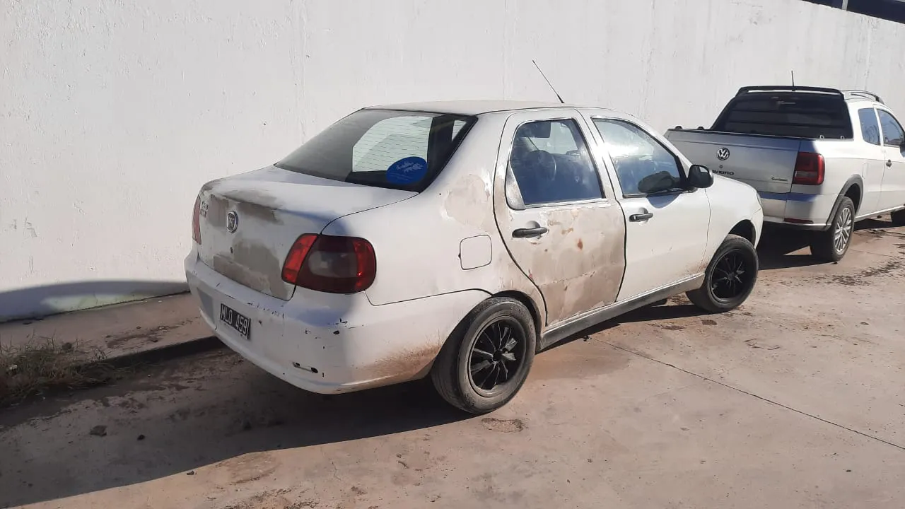 WhatsApp Image 2025-03-28 at 13.09.56