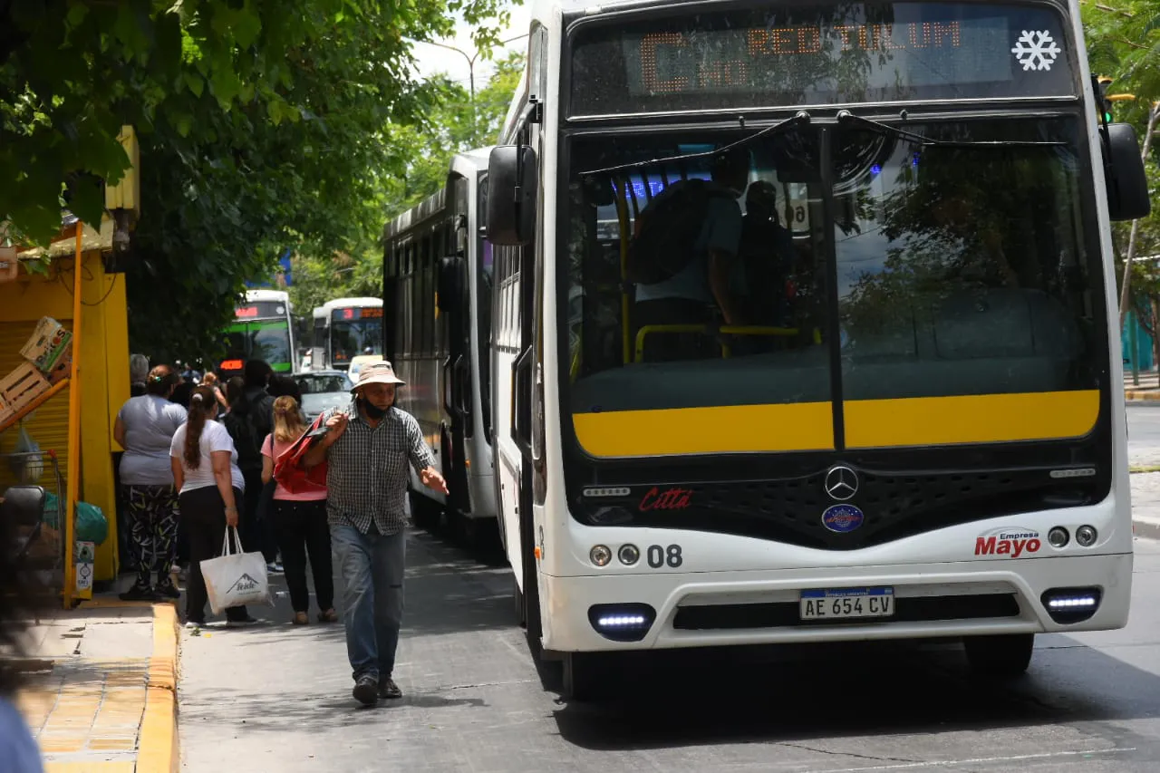 colectivos redtulum5