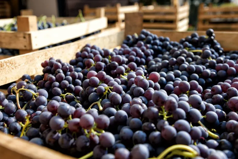 8e9ca36b88fc7aceb91092e3c068c412_L