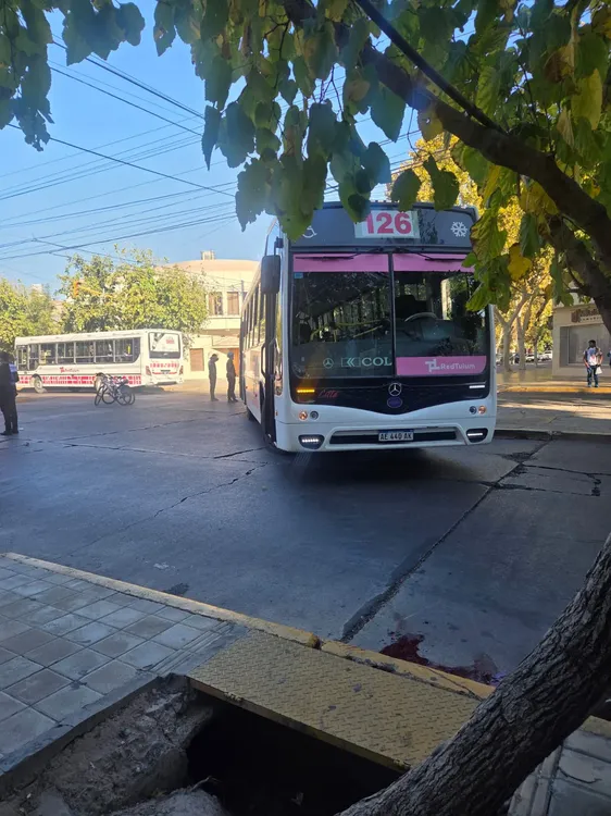 WhatsApp Image 2026-04-07 at 20.44.53 (1)