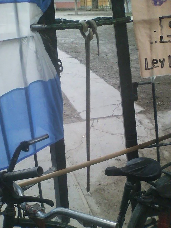 12084082_772312519557365_317751820_n