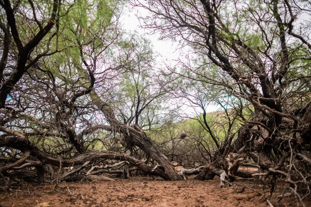 Fotografía
