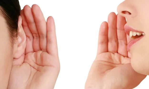 voz