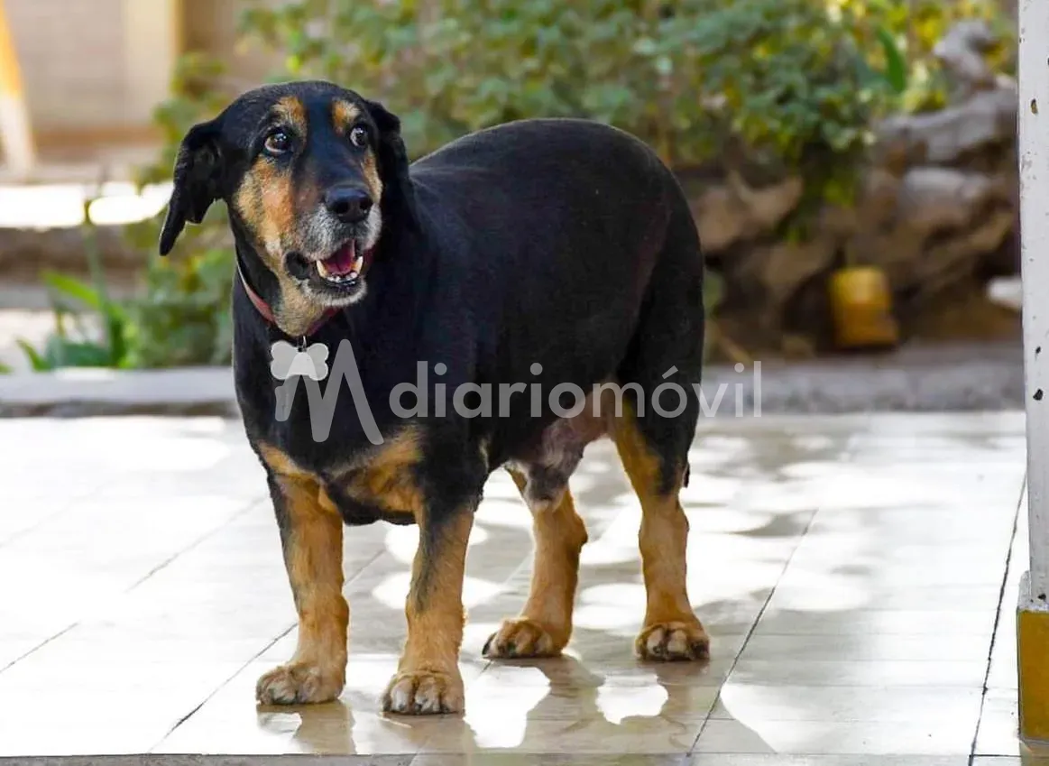 8edbfb36-412f-4abf-baf4-ee5e4c6b7109