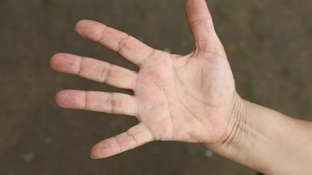 mano