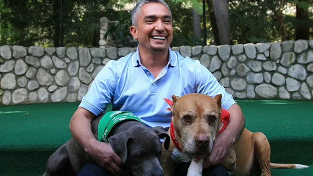cesar-millan