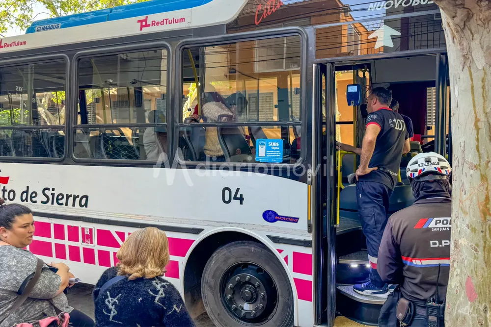 redtulum colectivo siniestro